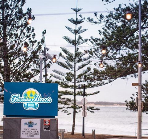 Anchovy - Accommodation Coffs Harbour 2