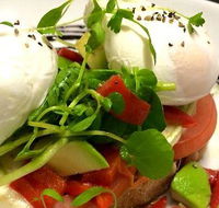 Montania Cafe Bar Restaurant - Accommodation Coffs Harbour