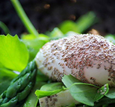 Australian Youth Hotel - Accommodation Coffs Harbour 5