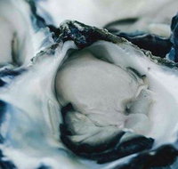 Wheelers Seafood Restaurant - Accommodation Coffs Harbour