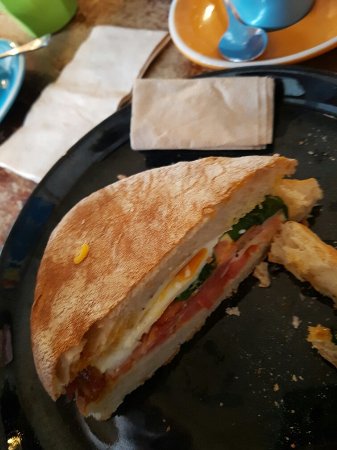 A Man And His Monkey - Accommodation Coffs Harbour 0