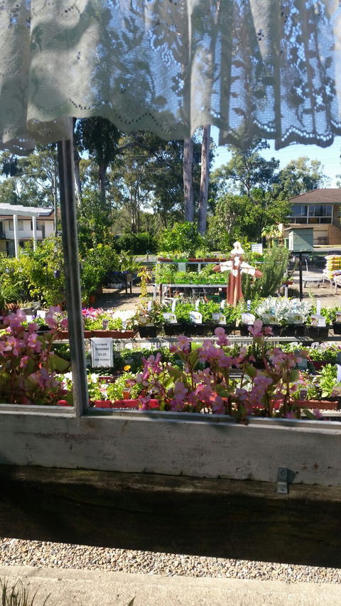 Florrey Bel Coffee Shed - Accommodation Coffs Harbour 5