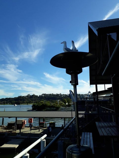 Annalakshmi On The Swan - Accommodation Coffs Harbour 2