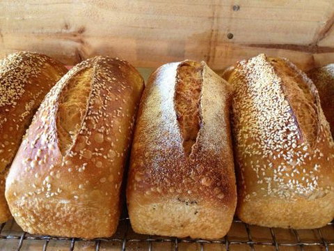 Blackbird Artisan Bakery - Accommodation Coffs Harbour 30