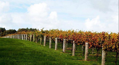 Blackbird Artisan Bakery - Accommodation Coffs Harbour 10