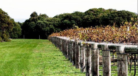 Blackbird Artisan Bakery - Accommodation Coffs Harbour 5