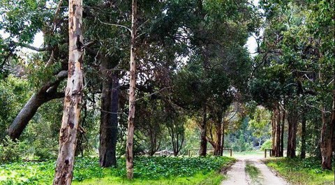 Blackbird Artisan Bakery - Accommodation Coffs Harbour 7