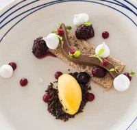 Wild Herring - Accommodation Coffs Harbour