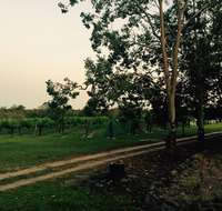 Brierley Wines - Accommodation Coffs Harbour