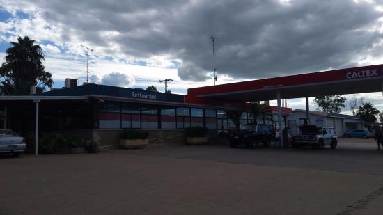 Dingo QLD Accommodation Coffs Harbour