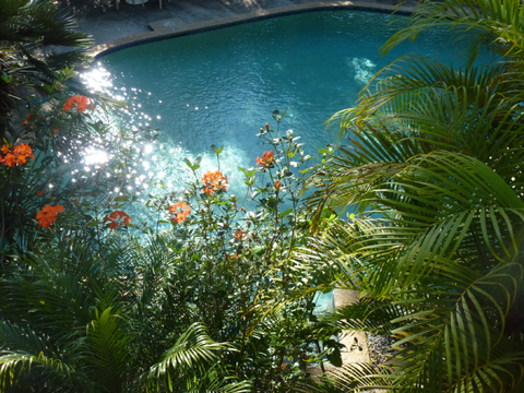 Avoca Beach Hotel - Accommodation Coffs Harbour 0