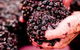 Lindsay's Restaurant - thumb 1