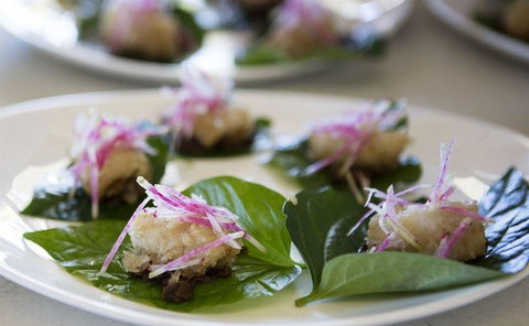 JAM - Accommodation Coffs Harbour 26