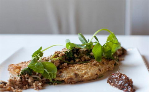 JAM - Accommodation Coffs Harbour 7