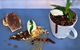 Kluska Restaurant - thumb 16