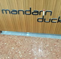 Mandarin Duck - Accommodation Coffs Harbour