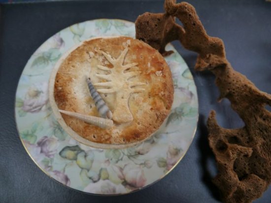 Currie TAS Accommodation Coffs Harbour