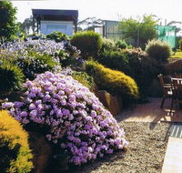 Pipers River Tea House and Crafts - Accommodation Coffs Harbour