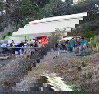 The Bay Fish - Accommodation Coffs Harbour