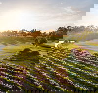 Sandalford Restaurant - Accommodation Coffs Harbour