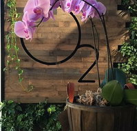 O2 Cafe - Accommodation Coffs Harbour