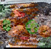 Cairo Cafe - Accommodation Coffs Harbour