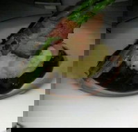 Riva - Accommodation Coffs Harbour