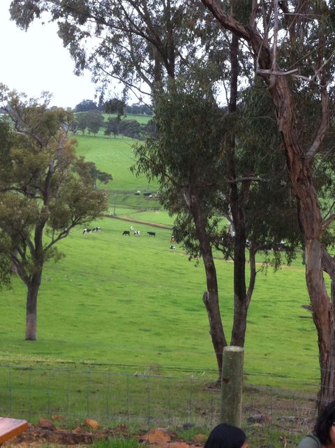 Ferguson Falls Wines Cafe - Accommodation Coffs Harbour 3