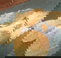 The Taj Restaurant - Accommodation Coffs Harbour