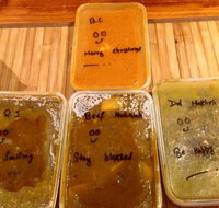 Surya Indian Cuisine - Accommodation Coffs Harbour