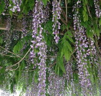 The Topiary Pantry - Accommodation Coffs Harbour