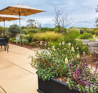Arid Lands Botanic Garden Cafe - Accommodation Coffs Harbour