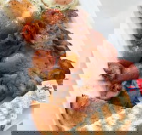 Barmera Cafe Espresso - Accommodation Coffs Harbour