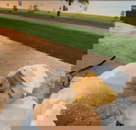 Barmera Chicken and Seafood - Accommodation Coffs Harbour