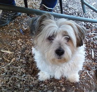 Cinnamon Grove - Accommodation Coffs Harbour