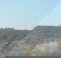 Moonlite Cafe - Accommodation Coffs Harbour