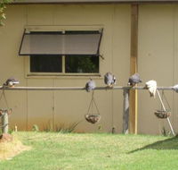 Sandy Grove - Accommodation Coffs Harbour