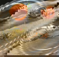 Open Korea - Accommodation Coffs Harbour