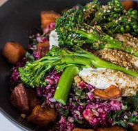 The Hungry Monkey - Accommodation Coffs Harbour