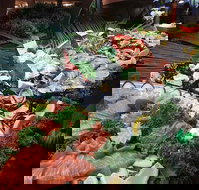 Hotel Settlers - Accommodation Coffs Harbour