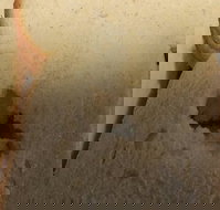 Sugarloaf Baking Co - Accommodation Coffs Harbour