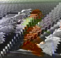 Three Black Sheep Cafe - Accommodation Coffs Harbour