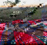 Bunnyconnellen Olive Grove  Vineyard - Accommodation Coffs Harbour