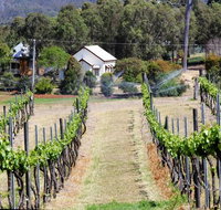 Prendergasts Irish Tavern - Accommodation Coffs Harbour