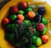 The Coffee Shoppe - Accommodation Coffs Harbour