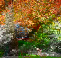 The Woods Ravensbourne - Accommodation Coffs Harbour