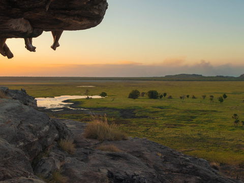 Kakadu Lodge Cooinda, Mngd By Accor - Accommodation Coffs Harbour 16