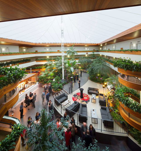 Pavilion on Northbourne - Accommodation Coffs Harbour 11