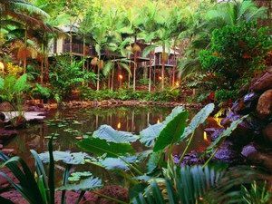 Daintree Eco Lodge & Spa - Accommodation Coffs Harbour 0