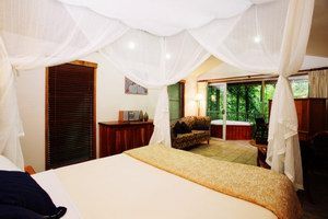 Daintree Eco Lodge & Spa - Accommodation Coffs Harbour 1